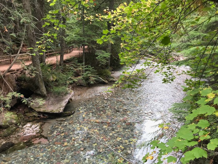 Ceders Stream Along the Trail
