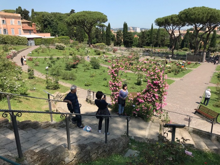 The Rose Garden