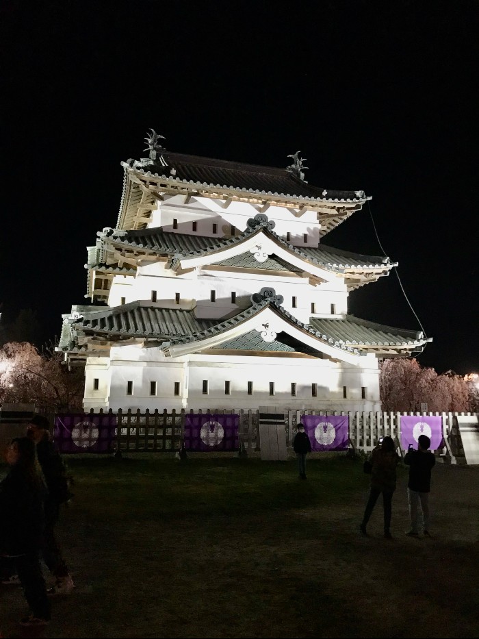 The Castle at Night