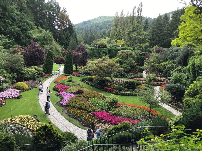 Impecable landscaping in the valley